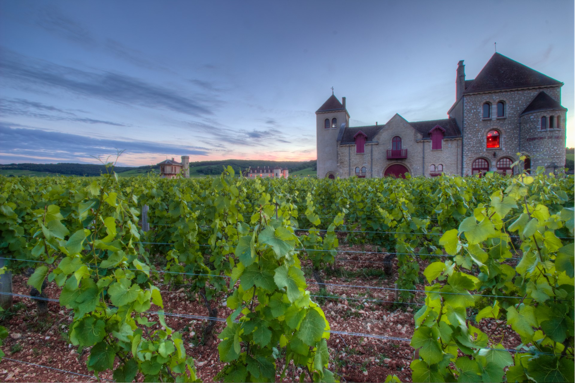 Chateau vue des vignes