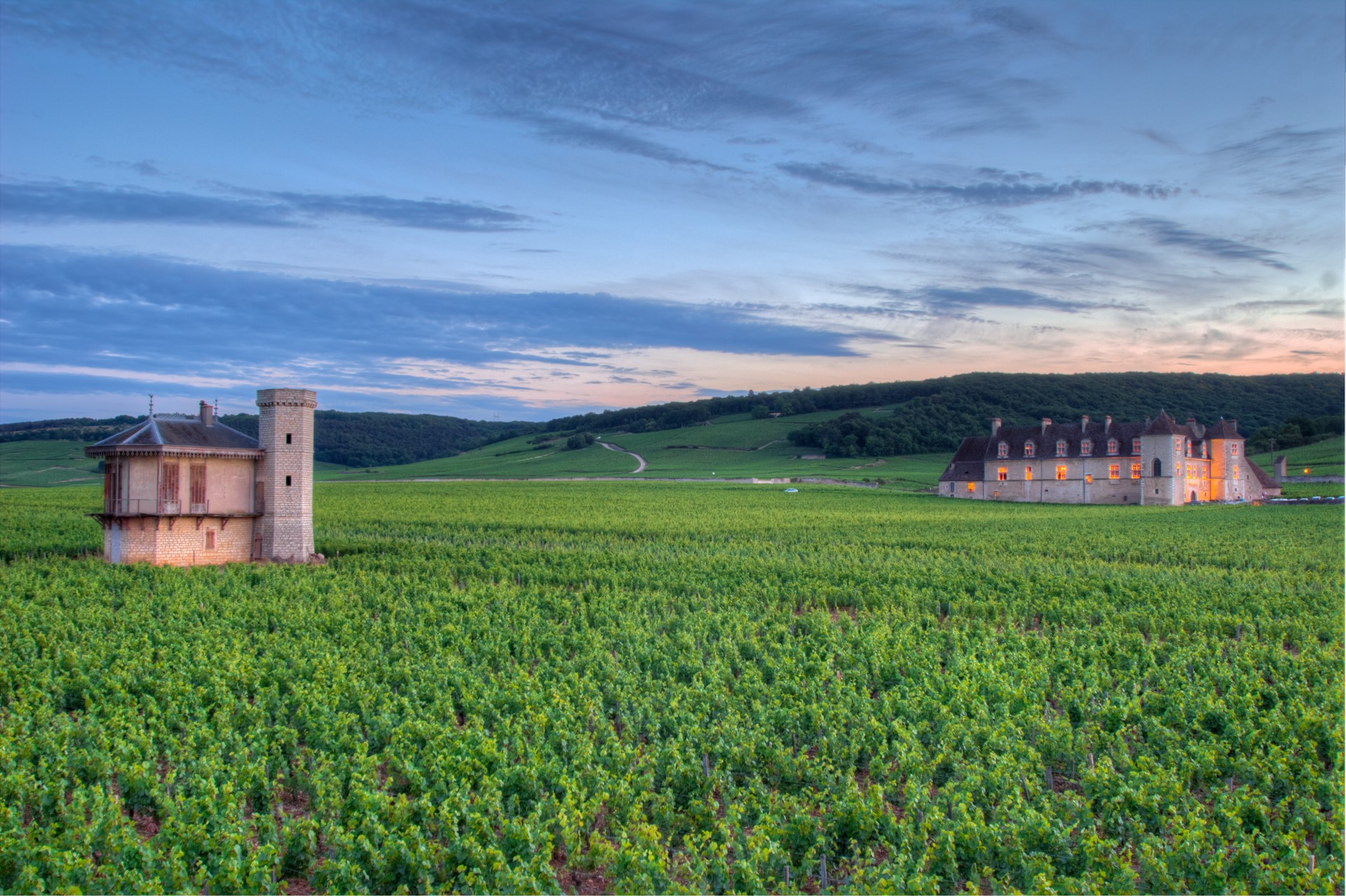 Labet & Dechelette Chateau de La Tour Clos de Vougeot Grand Cru – SommSelect